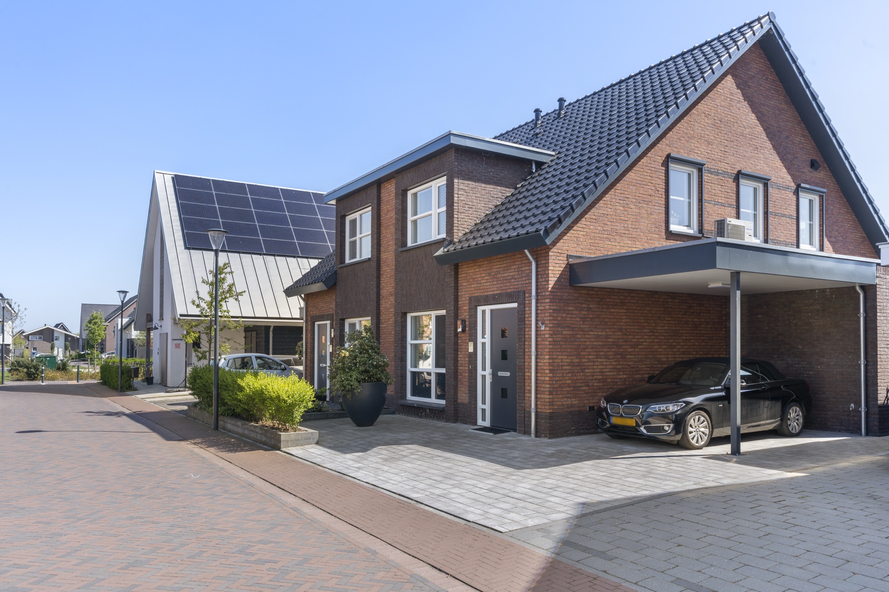 Dotterbloem