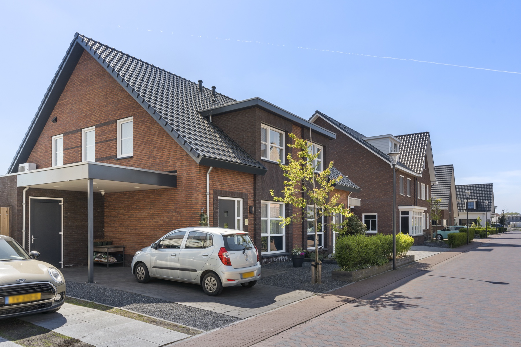 Dotterbloem