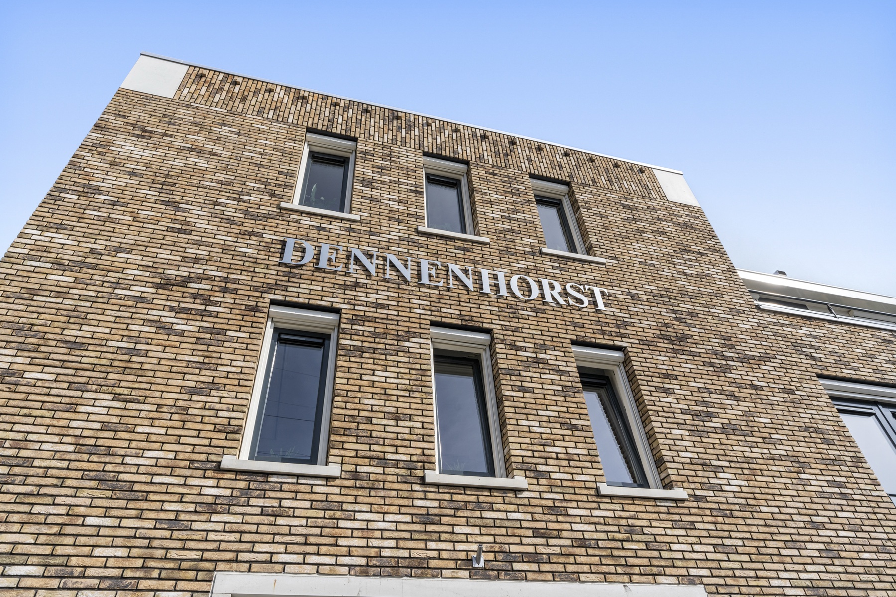Dennenhorst